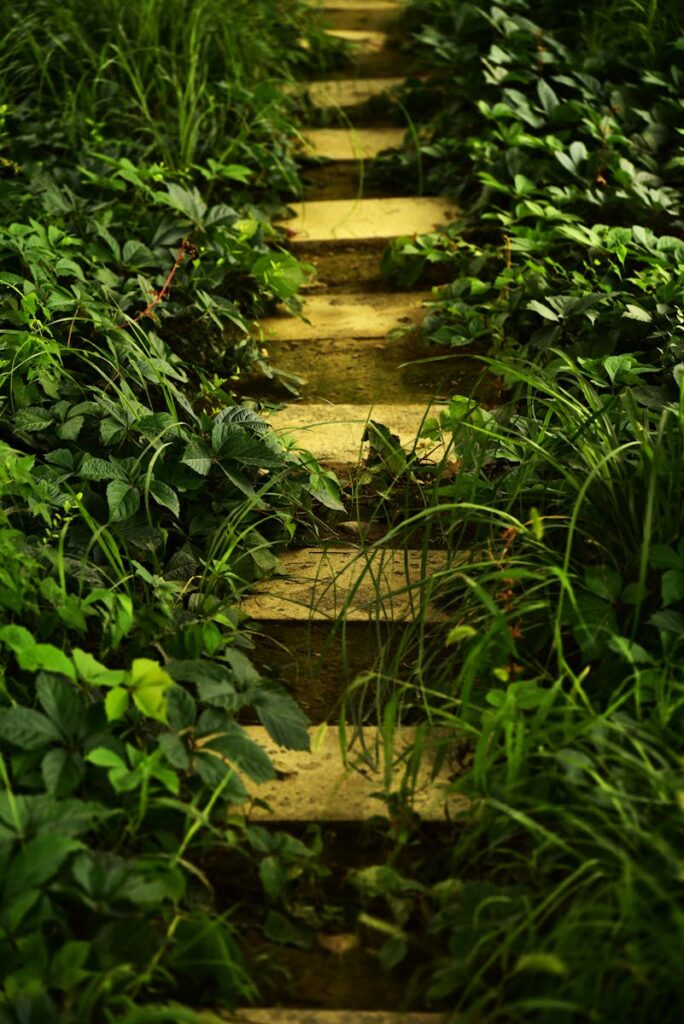 Stone steps through dense garden foliage create a serene outdoor atmosphere.