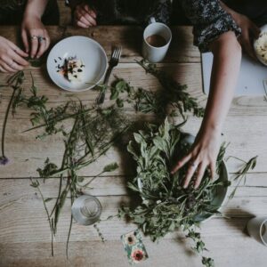 Atelier naturo pratique - 2h
